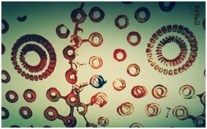 PhotoGrid_1398495752741