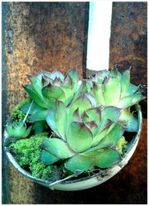 PhotoGrid_1398587345546