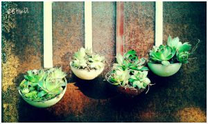 PhotoGrid_1398587500877