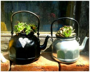 PhotoGrid_1398713801655