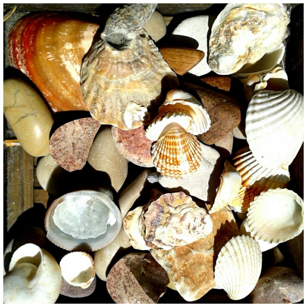 PhotoGrid_1403873880357