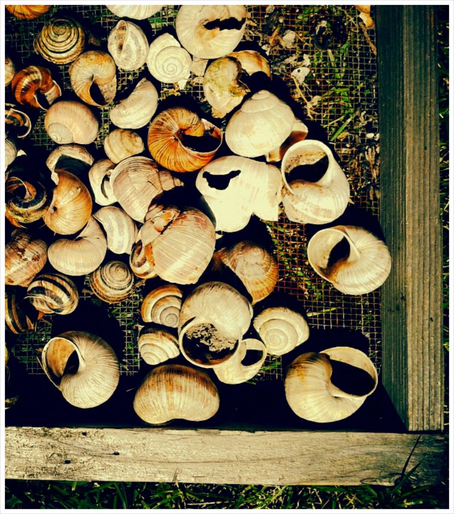 PhotoGrid_1403873927626