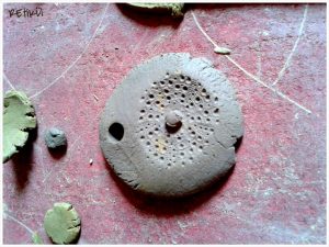 PhotoGrid_1405977016145