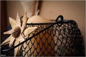 IMG_7031_resize